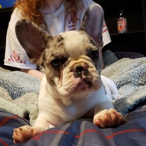 Meet your Posher, Alexandria